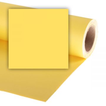 Colorama fundal foto galben Dandelion 2.72 x 11m