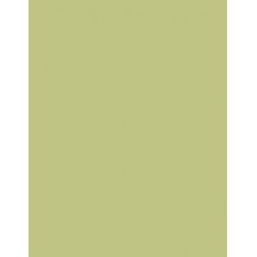 Colorama fundal foto verde Fern 2.72 x 11m