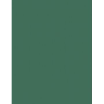 Colorama fundal foto verde Spurce Green 2,72 x 11m