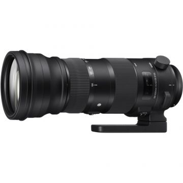 Sigma 150-600mm f5-6.3 DG OS HSM Sport Nikon